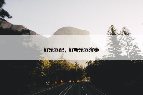 好乐器配，好听乐器演奏