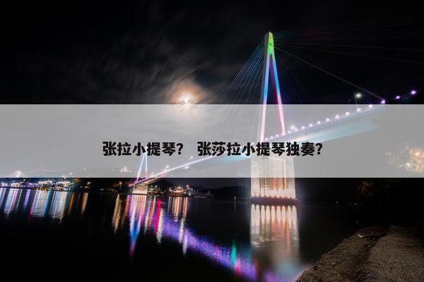 张拉小提琴？ 张莎拉小提琴独奏？