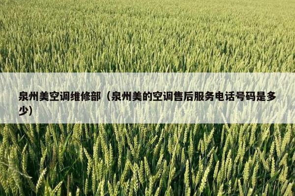 泉州美空调维修部（泉州美的空调售后服务电话号码是多少）