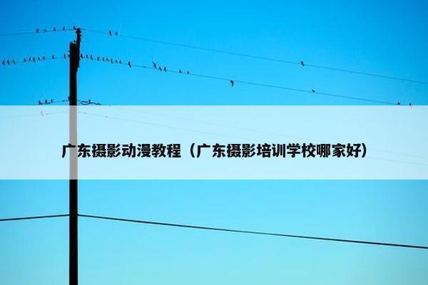 广东摄影动漫教程（广东摄影培训学校哪家好）