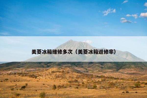 美菱冰箱维修多次（美菱冰箱返修率）