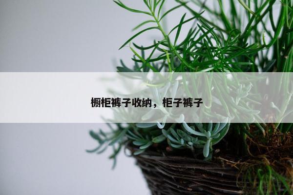 橱柜裤子收纳，柜子裤子