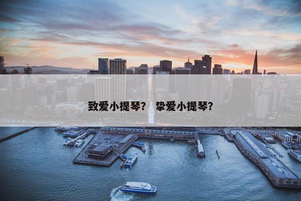 致爱小提琴？ 挚爱小提琴？