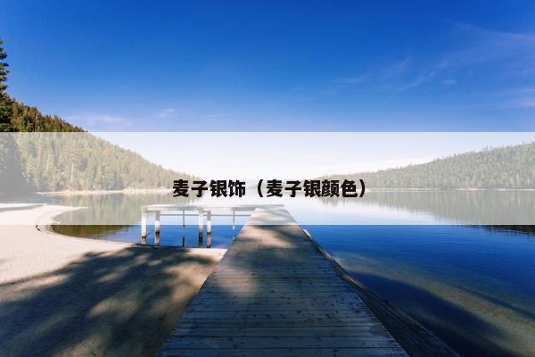 麦子银饰（麦子银颜色）