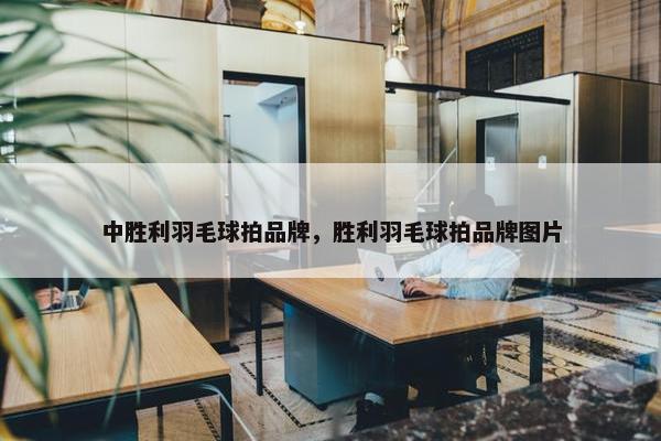 中胜利羽毛球拍品牌，胜利羽毛球拍品牌图片