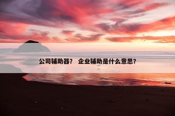 公司辅助器？ 企业辅助是什么意思？
