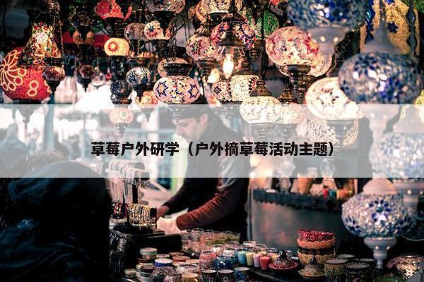 草莓户外研学（户外摘草莓活动主题）