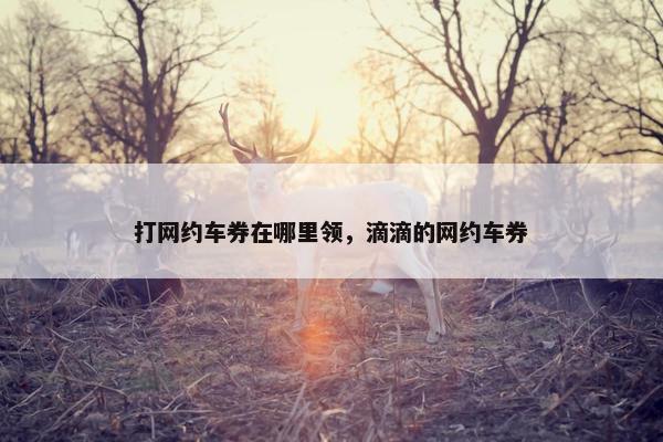打网约车券在哪里领，滴滴的网约车券