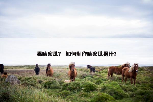 果哈密瓜？ 如何制作哈密瓜果汁？