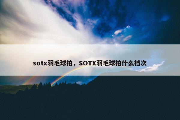 sotx羽毛球拍，SOTX羽毛球拍什么档次