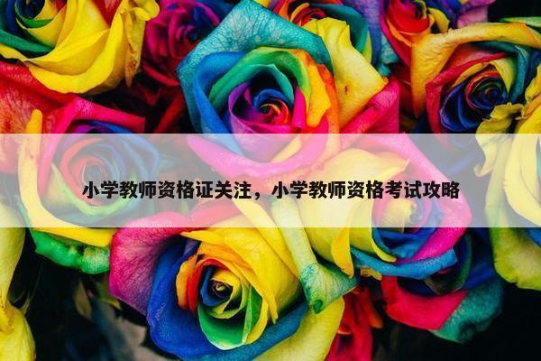 小学教师资格证关注，小学教师资格考试攻略