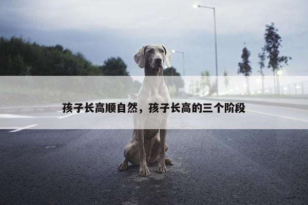 孩子长高顺自然，孩子长高的三个阶段