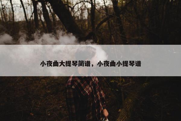 小夜曲大提琴简谱，小夜曲小提琴谱