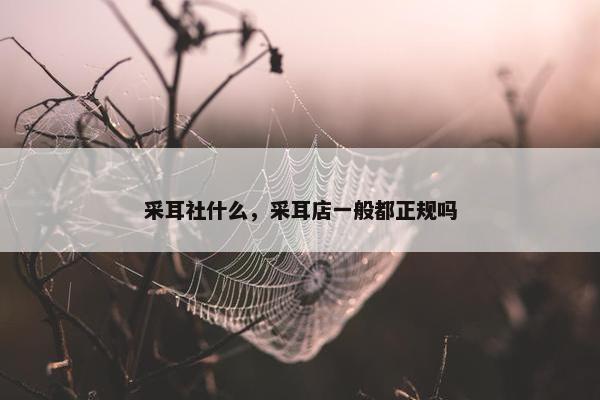 采耳社什么，采耳店一般都正规吗