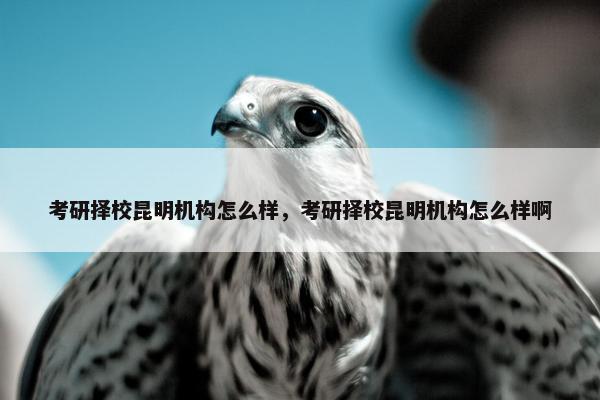 考研择校昆明机构怎么样，考研择校昆明机构怎么样啊