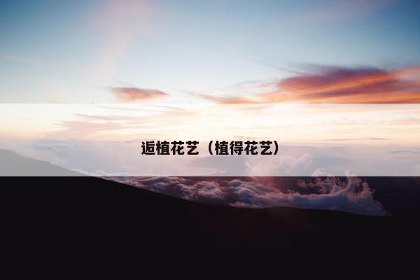 逅植花艺（植得花艺）