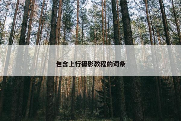 包含上行摄影教程的词条