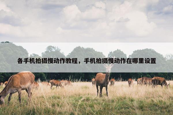 各手机拍摄慢动作教程，手机拍摄慢动作在哪里设置