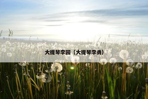 大提琴李园（大提琴李勇）
