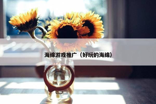 海绵游戏推广（好玩的海绵）