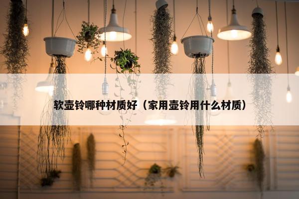 软壶铃哪种材质好（家用壶铃用什么材质）