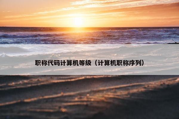 职称代码计算机等级（计算机职称序列）