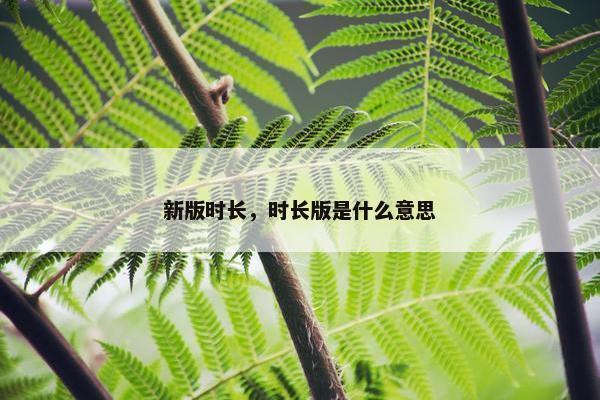 新版时长，时长版是什么意思