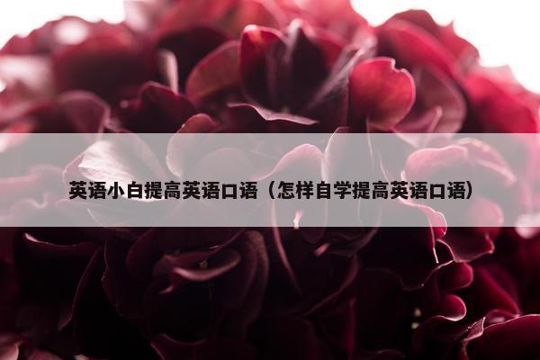 英语小白提高英语口语（怎样自学提高英语口语）