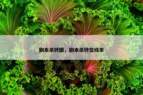 剧本杀转图，剧本杀转交线索