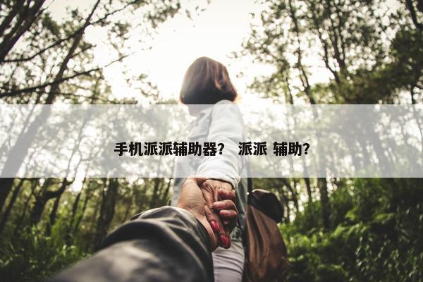 手机派派辅助器？ 派派 辅助？