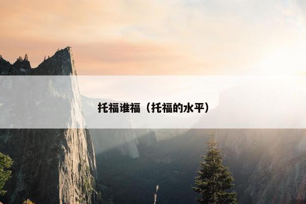 托福谁福（托福的水平）