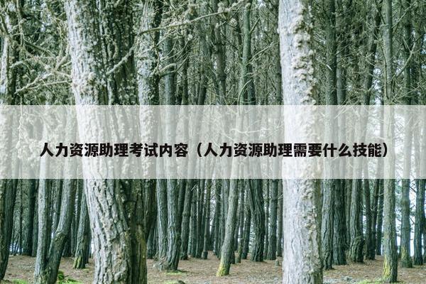 人力资源助理考试内容（人力资源助理需要什么技能）