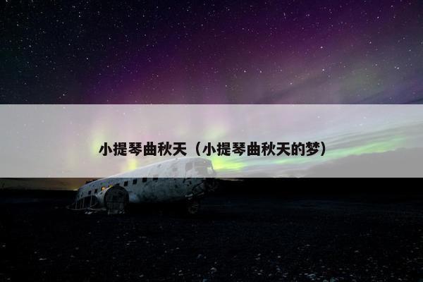 小提琴曲秋天（小提琴曲秋天的梦）