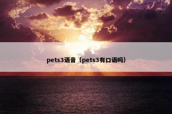 pets3语音（pets3有口语吗）
