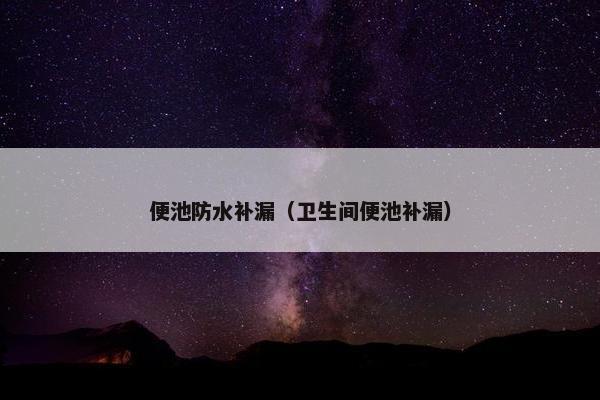 便池防水补漏（卫生间便池补漏）