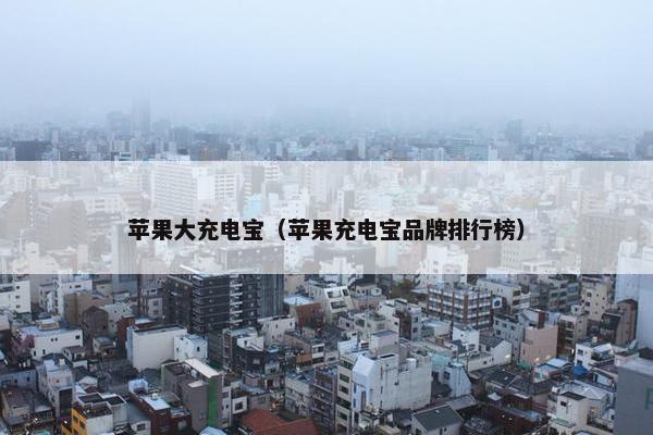 苹果大充电宝（苹果充电宝品牌排行榜）