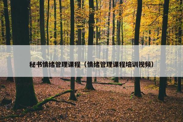 秘书情绪管理课程（情绪管理课程培训视频）