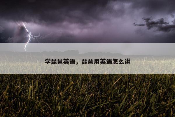 学琵琶英语，琵琶用英语怎么讲
