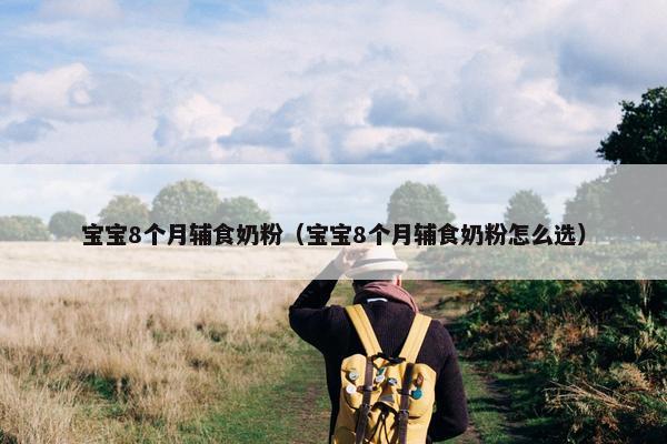 宝宝8个月辅食奶粉（宝宝8个月辅食奶粉怎么选）