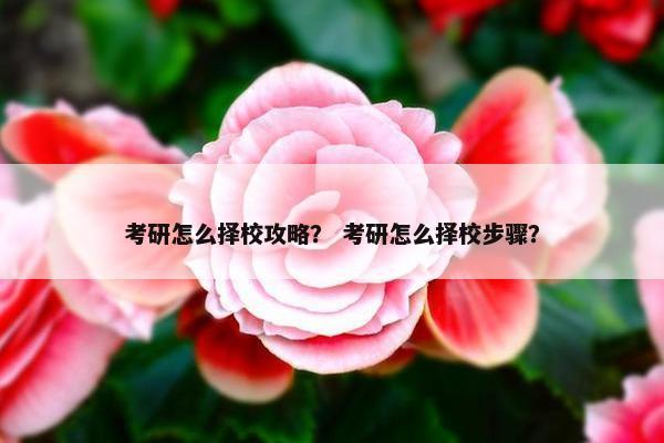 考研怎么择校攻略？ 考研怎么择校步骤？