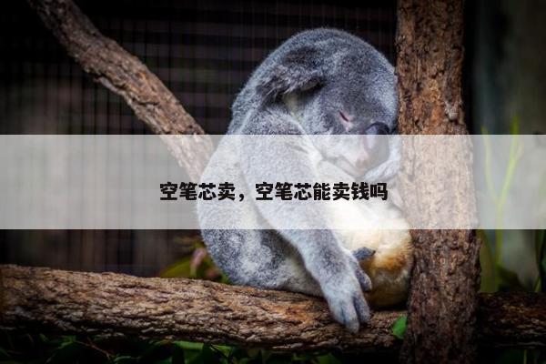 空笔芯卖，空笔芯能卖钱吗