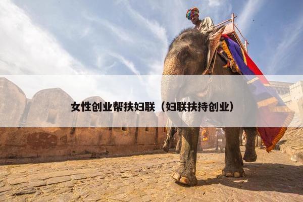 女性创业帮扶妇联（妇联扶持创业）