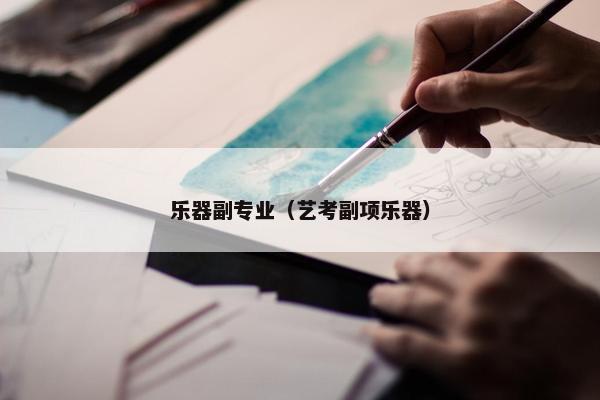 乐器副专业（艺考副项乐器）