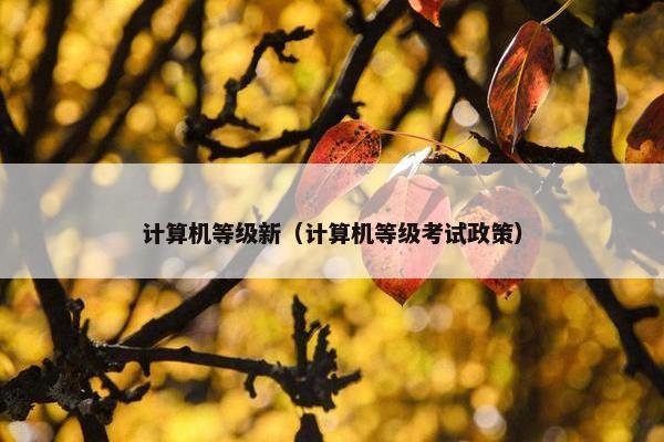 计算机等级新（计算机等级考试政策）