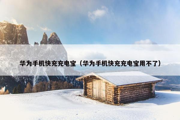 华为手机快充充电宝（华为手机快充充电宝用不了）