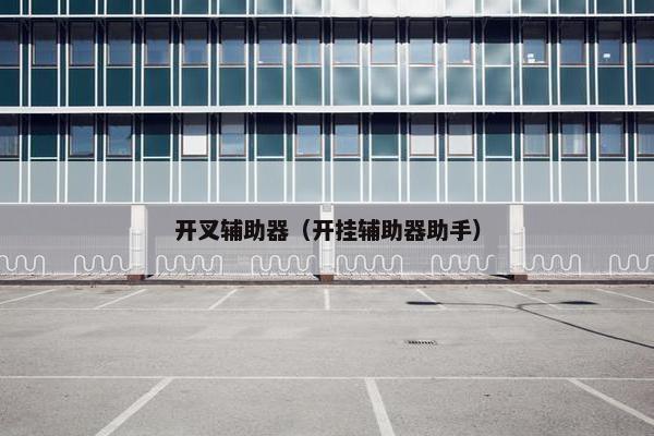 开叉辅助器（开挂辅助器助手）