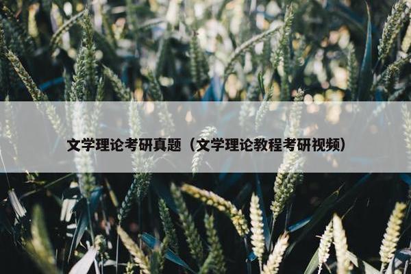 文学理论考研真题（文学理论教程考研视频）
