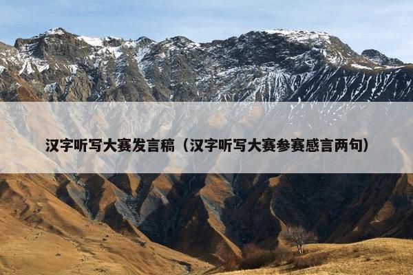 汉字听写大赛发言稿（汉字听写大赛参赛感言两句）