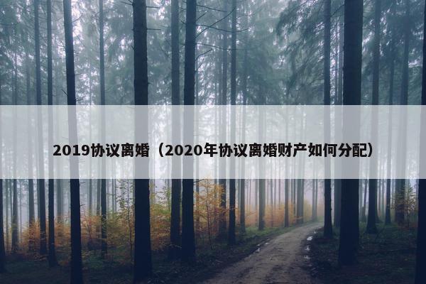 2019协议离婚（2020年协议离婚财产如何分配）