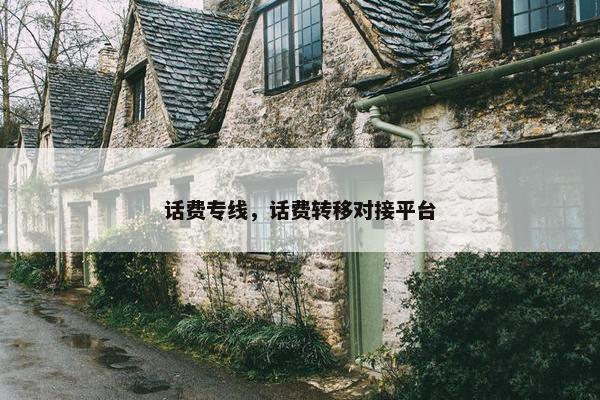 话费专线，话费转移对接平台
